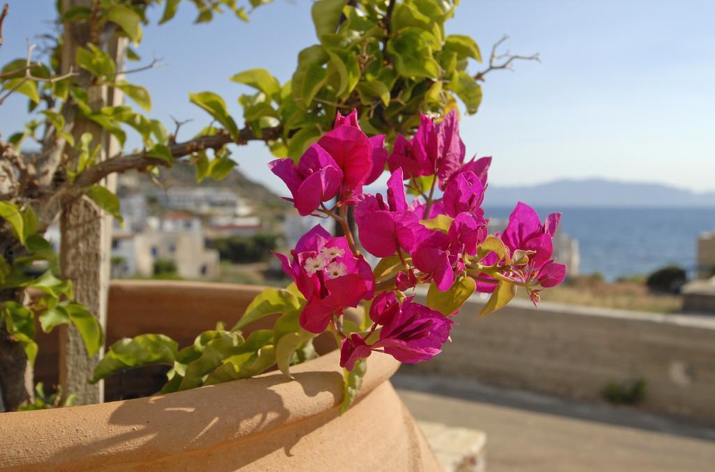 Pantonia Apartments Agia Pelagia  Ruang foto