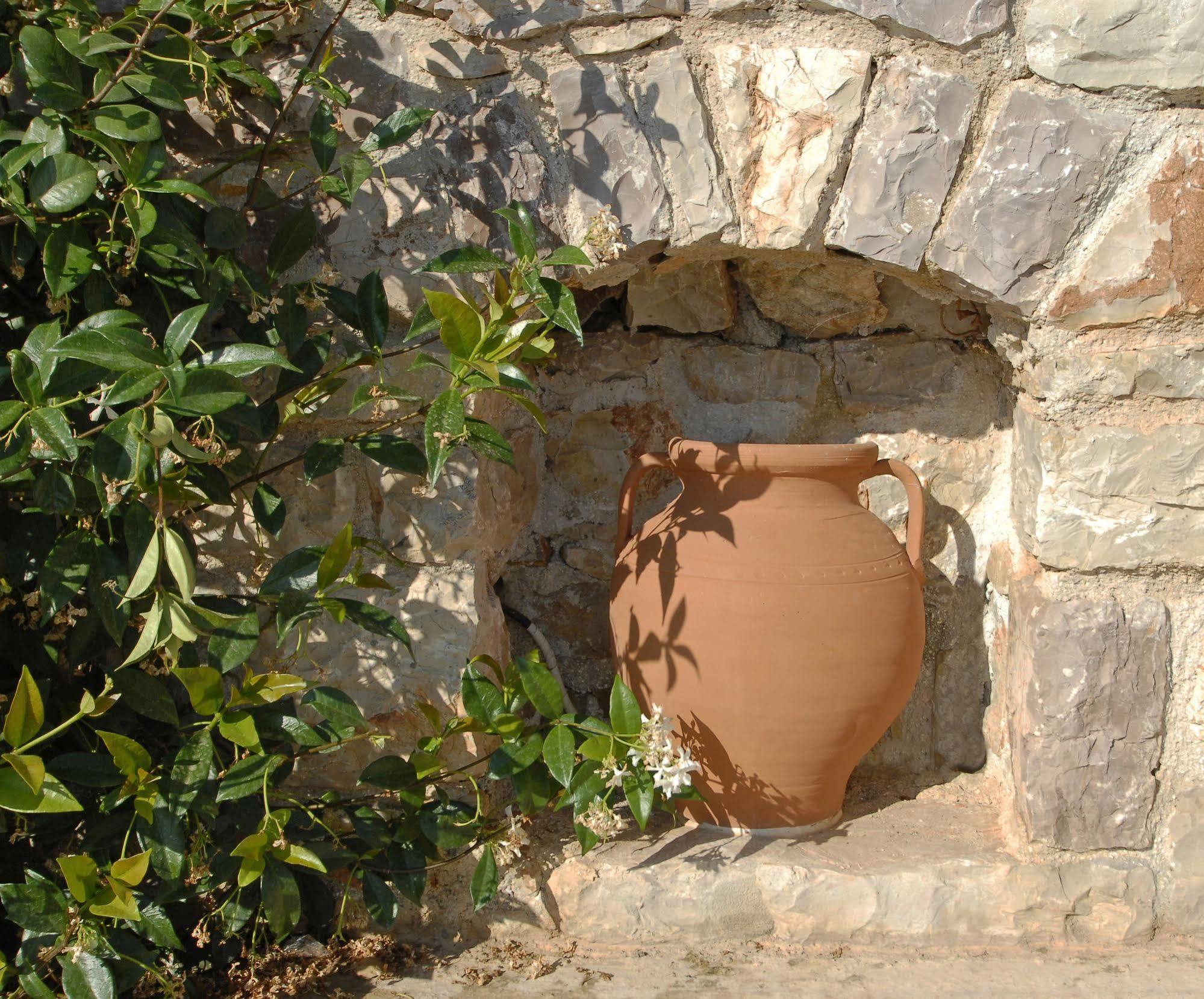 Pantonia Apartments Agia Pelagia  Bagian luar foto